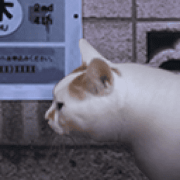 银河总站app之怪奇谭官方正版下载-银河总站app之怪奇谭手机版下载 v1.0 安卓正版